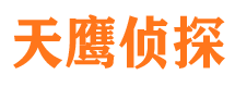 渭城寻人公司